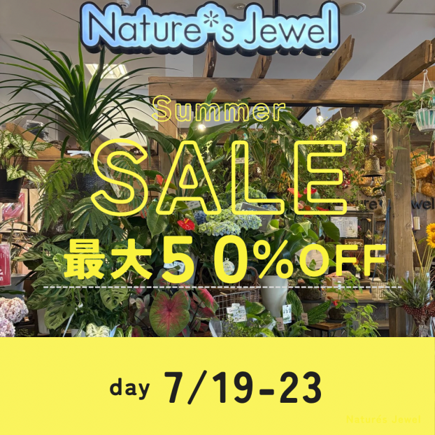 ＼今年は5日間限定／ サマーSALEのご案内‼︎