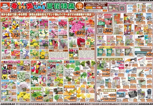 チラシ情報