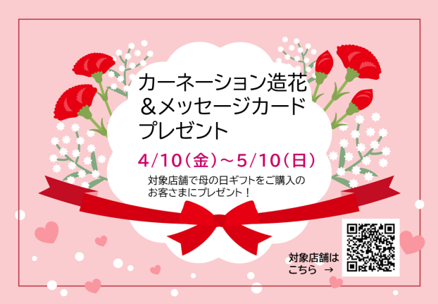 Motgher's Day カーネーション造花＆メッセージカード