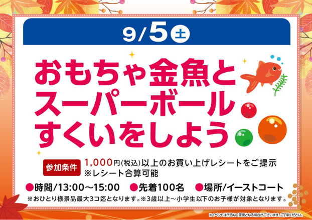 おもちゃ金魚とスーパーボールすくいをしよう