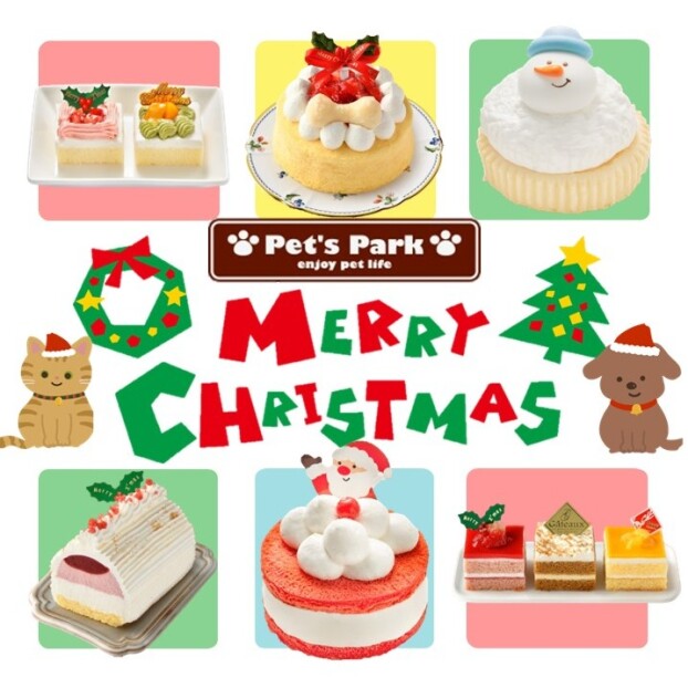 愛犬用🐶愛猫用🐱クリスマスケーキ予約受付中🎄