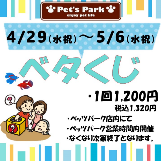 GWイベント✨ベタくじ🐠