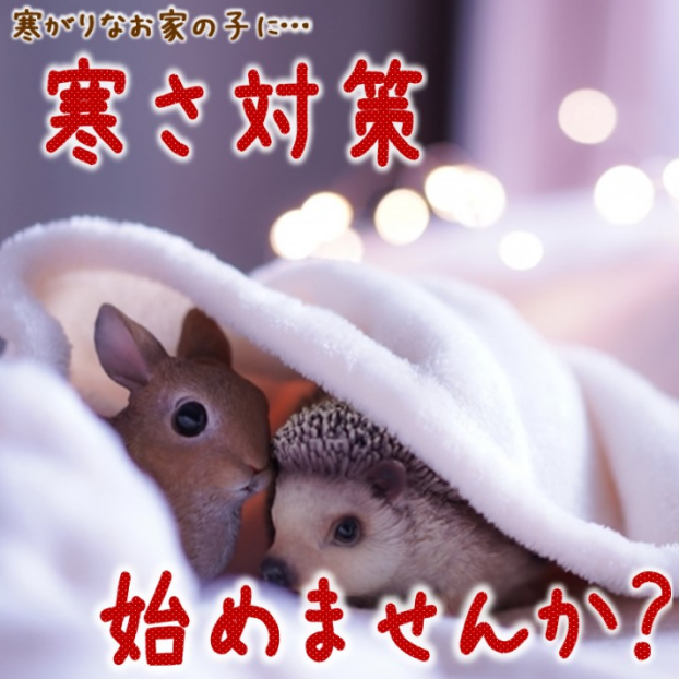 寒さ対策始めませんか❓