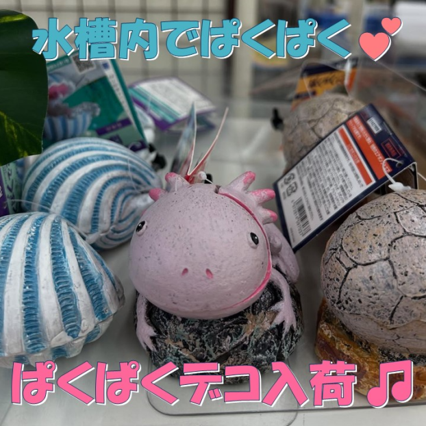 おくちを開いて酸素をお届け💕ぱくぱくデコ入荷🎵