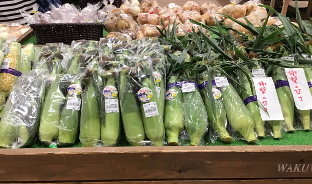 旬！　とうもろこし🌽