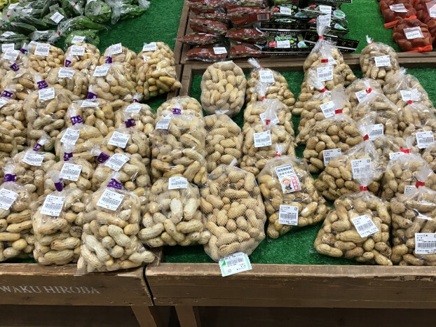 おおまさりがやってきた！！
