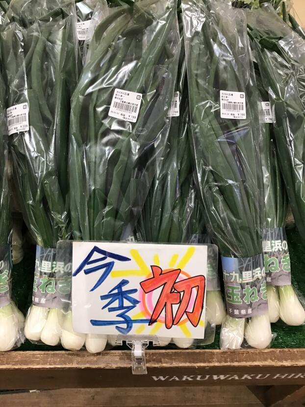 葉玉ねぎの季節が始まりました！