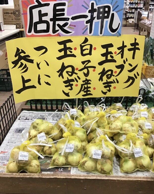 白子産玉ねぎが始まりました！！