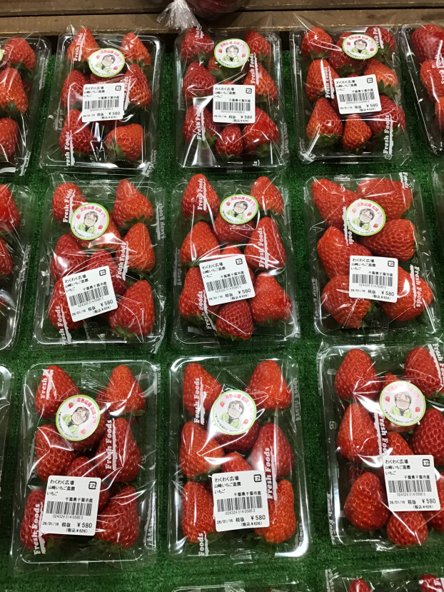 お待たせ致しました！