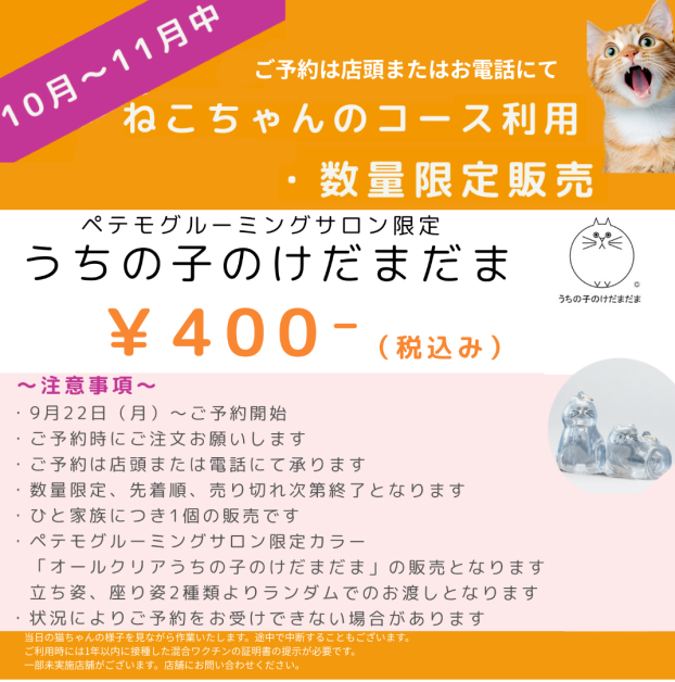 ねこちゃんのグルーミングのご案内