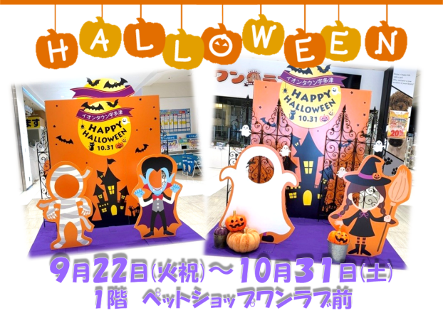 ハロウィーンフォトスポットで写真を撮ろう