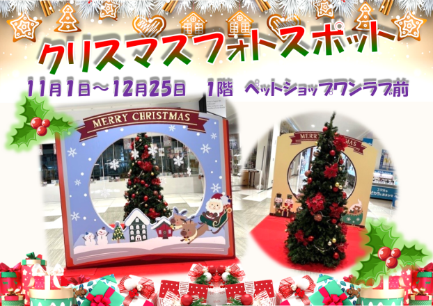 クリスマスフォトスポットでクリスマス気分♪