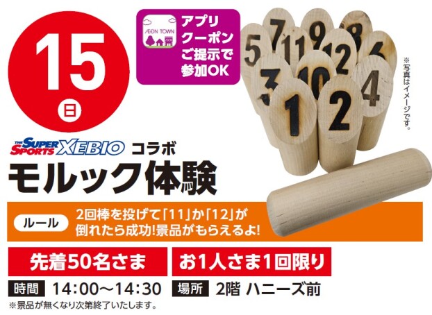 【アプリイベント】2/15（日）モルック体験