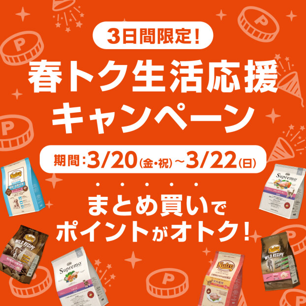 3日間限定！春トク生活応援キャンペーン開催！
