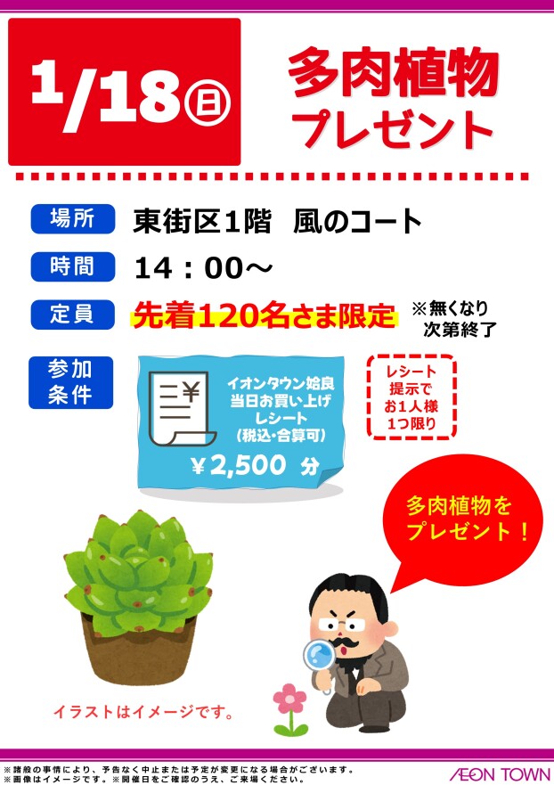 多肉植物プレゼント