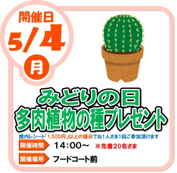5/4（月）　みどりの日　多肉植物の種プレゼント