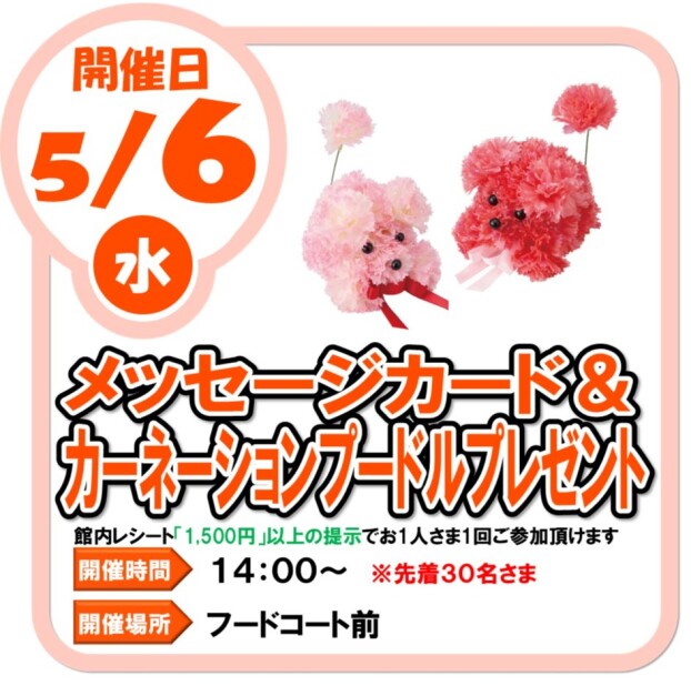 5/6（水）　メッセージカード＆カーネーションプードル　プレゼント
