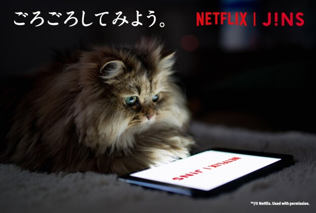 ごろごろしてみよう。JINS HOME® × Netflix