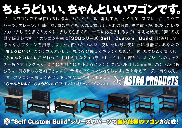 🌻８月🌻のプロモーション紹介✨