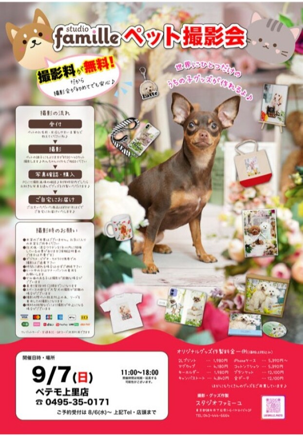 スタジオファミーユによる プロカメラマンによるペットの撮影会