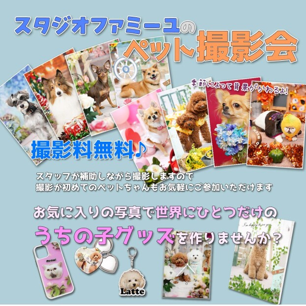 ペット撮影会