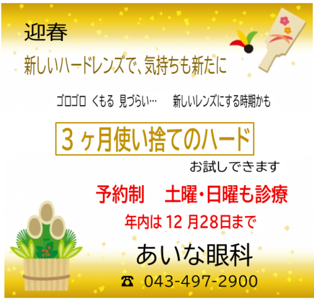 迎春　新しいハードに