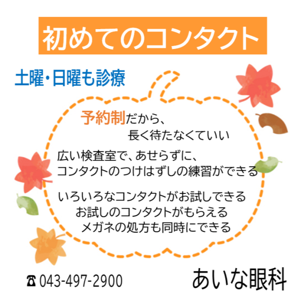 初めてのコンタクト