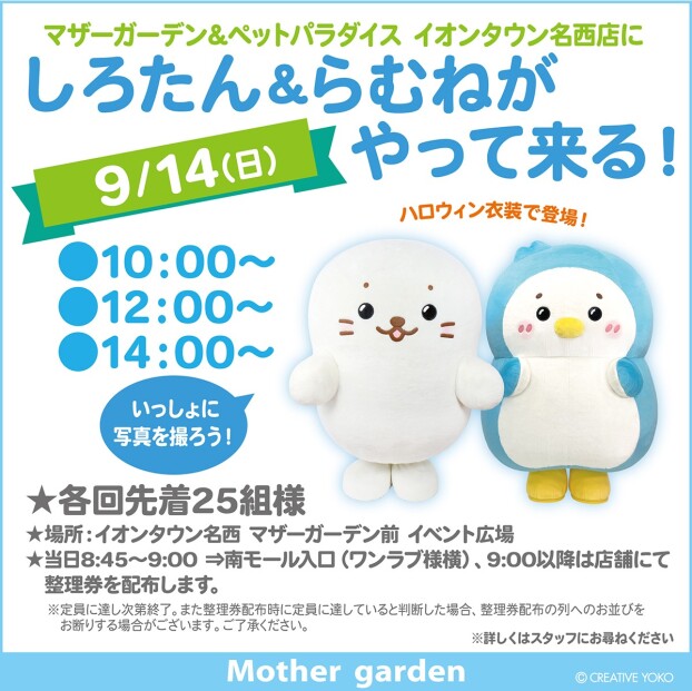 しろたん＆らむねがやって来る！