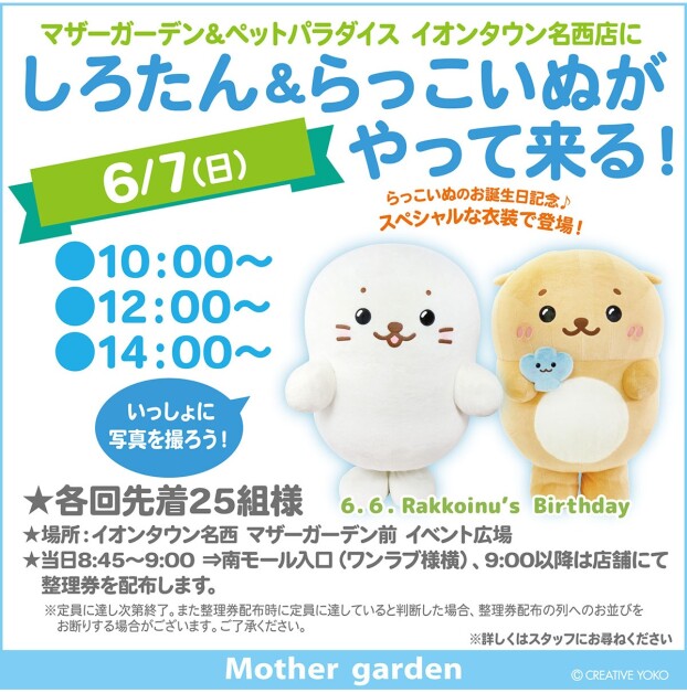 しろたんとらっこいぬがやってくる♪