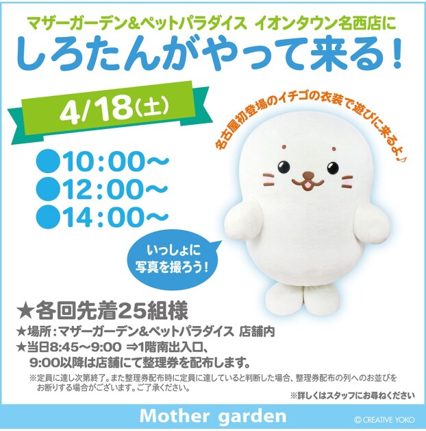 しろたんがやって来る！！