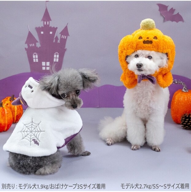 ハロウィンシリーズのペット衣類販売中☆