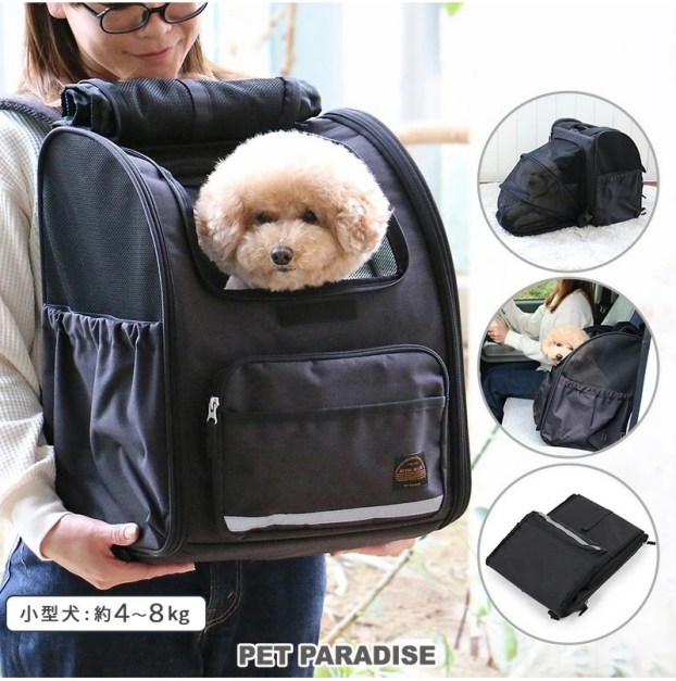 折畳ハウスリュック販売中！