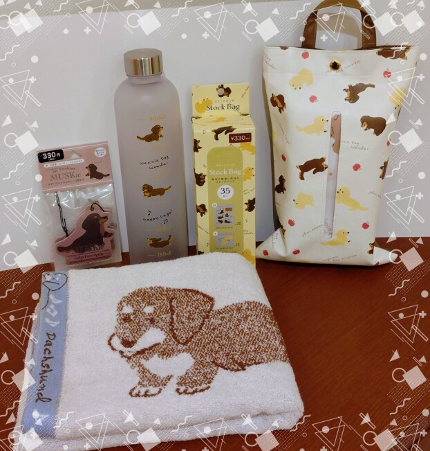 ダックスシリーズ再入荷のお知らせ❣