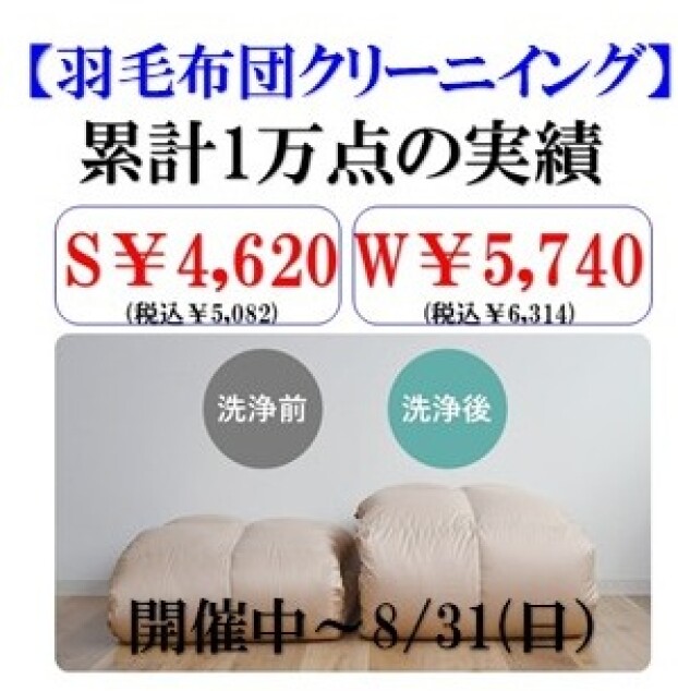 【年に一度セール！寝具類・毛布・こたつ掛敷・カーペット】