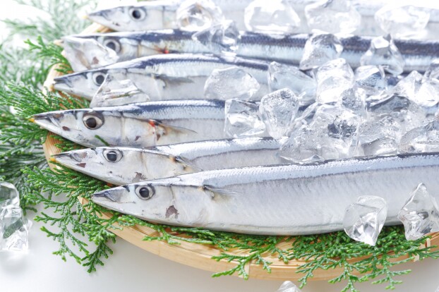 秋の味覚🍁秋刀魚🐟入荷しています！