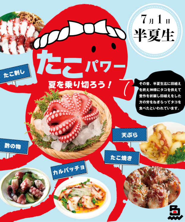 7月1日は半夏生！タコを食べて夏にそなえよう！