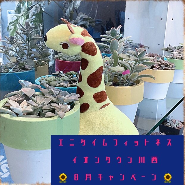 ◆8月のお得なキャンペーン◆