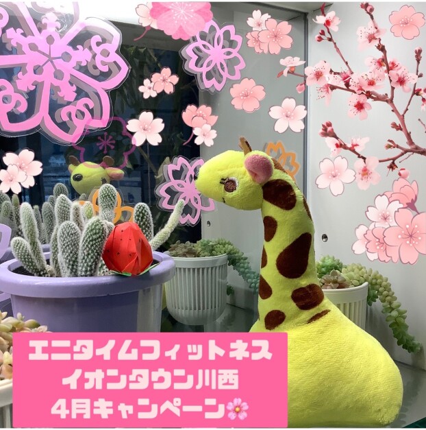 ◆4月のお得なキャンペーン◆