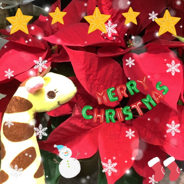 ◆12月のとってもお得なキャンペーン◆