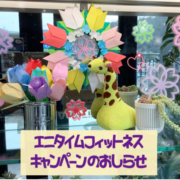 ◆3月のお得なキャンペーン◆