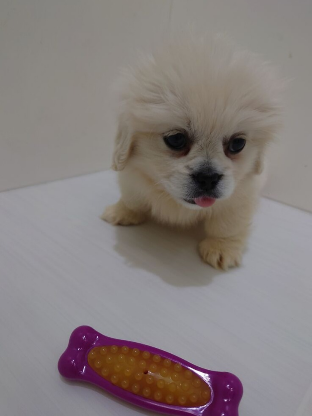 ワンラブ西熊本店のblog