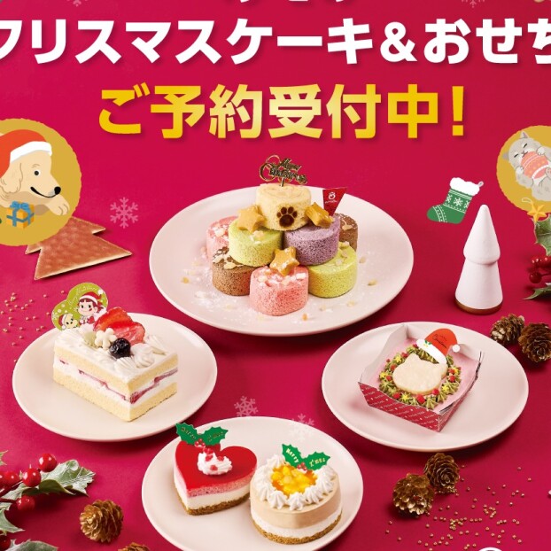 ペテモのクリスマスケーキ＆おせちご予約開始！