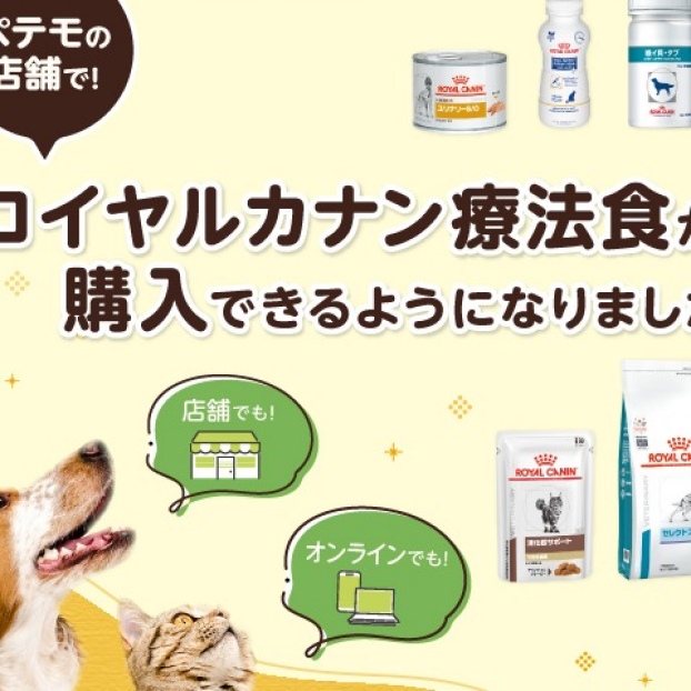 ペテモの店舗で!>ロイヤルカナン食事療法食が購入できるようになりました!!