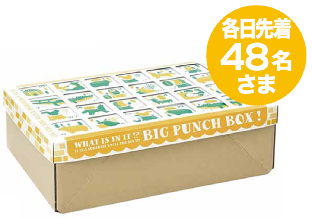パンチングボックス　9/27