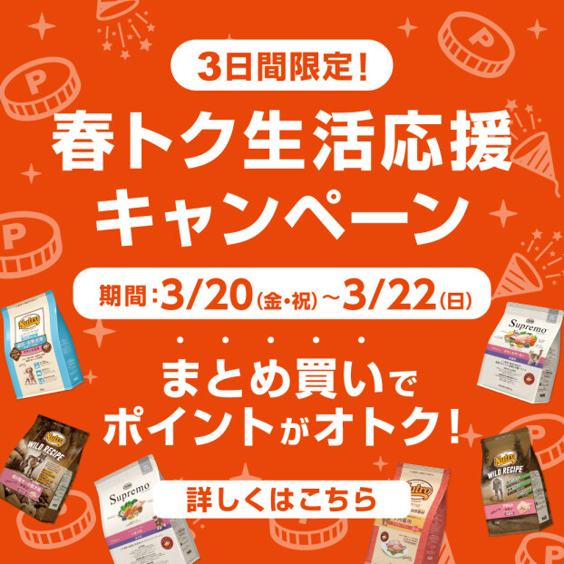 3日間限定！春トク生活応援キャンペーン開催！
