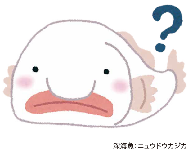 お魚クイズラリー