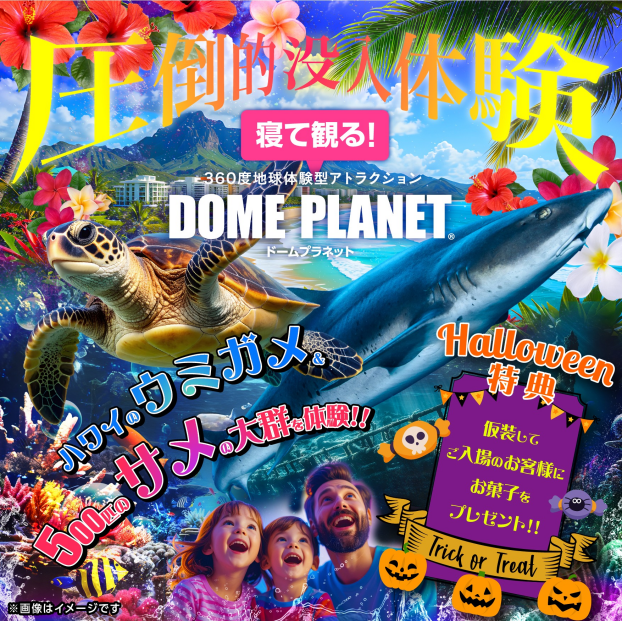 ハロウィンは海を満喫「ハワイ&シャークスクランブルbyドームプラネットツアーズ」