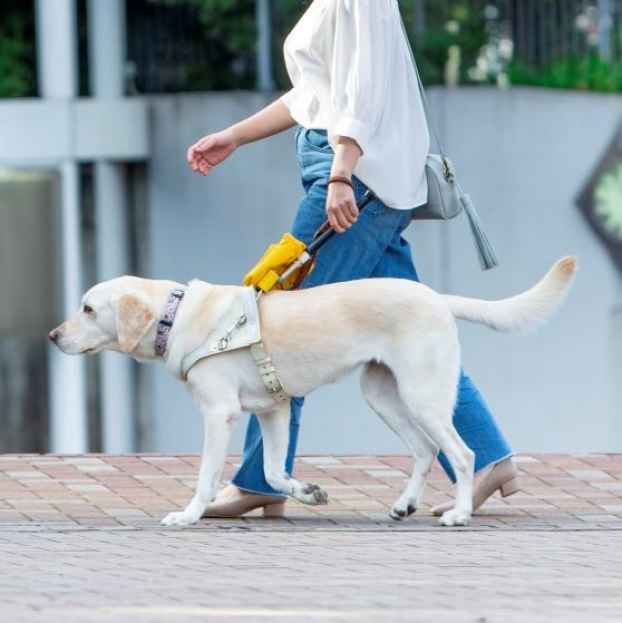 盲導犬もっと知ってキャンペーン