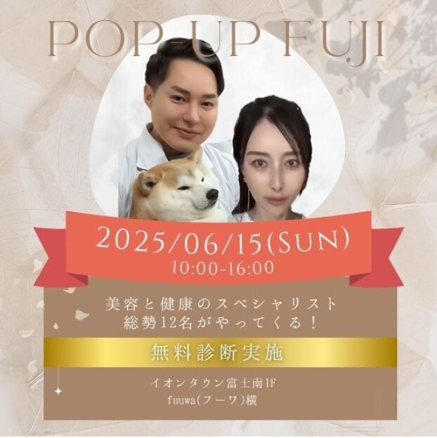 POP UP FUJI