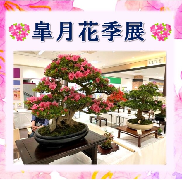 皐月花季展